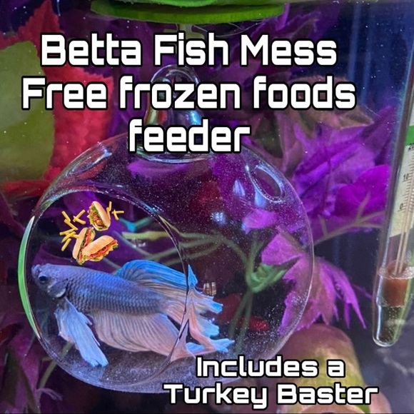 Betta fish feeding globe for frozen foods - Picture 3 of 12